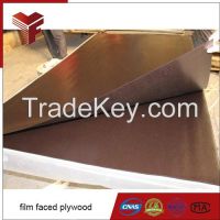 18mm Film Faced Plywood / Marine Plywood 