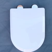 Toilet seat cover Family toilet seat