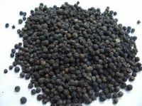 Black Pepper