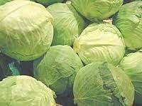 Fresh Cabbages