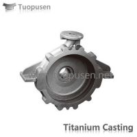 Titanium Alloy Casting  Pump Casing Grade