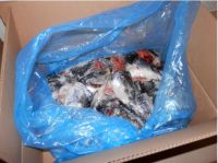  Frozen Atlantic Salmon Fillet Heads V-Cuts , IQF ( Aproved to Russia )