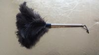 Softer Male Black Color Ostrich Feather