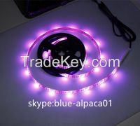 usb led holiday lights DC5V