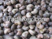 Raw Cashew Nuts in Jute Bag Packiing