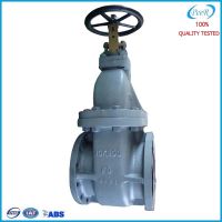 Flange Type Stem Gate Valve