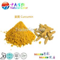 natural food color curcumin pigment supplier