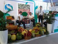 Vegetables and fruits from Uzbekistan