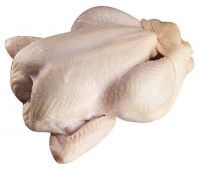 âQuality Halal Whole Frozen Chicken 