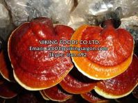 LINGZHI MUSHROOM/GANODERMA - THE BEST PRICE