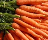 Fresh Carrot