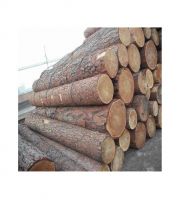 PINE,SPRUCE, BIRCH, OAK, ASH LOGS / TIMBER FROM THAILAND