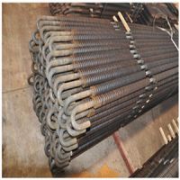 Industry Boiler Economizer