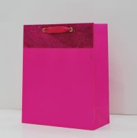 Printed Paper Bags For Shopping & Gift 