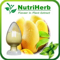 Natural Mango Leaf Extract 95% Mangiferin