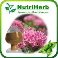 Natural Rhodiola Rosea Extract Salidroside Rosavins