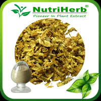 Sophora Fruit Extract /Sophora japonica Extract 98% Sophoricoside