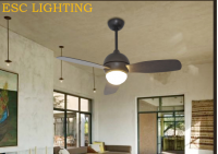 modern ceiling fan with led light