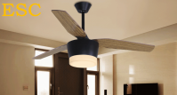 modern ceiling fan with led light