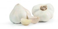 white garlic