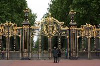 wrought iron driveway gate 