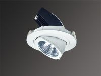 LED Downlight for Shop and Hotel