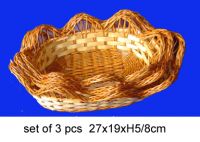 beautiful design fern baskets