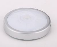 Surface mounted downlight