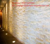 Thin veneer stone from Vietnam