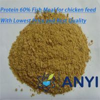 Steam Dried Fish Meal for Chicken Feed (60% protein)