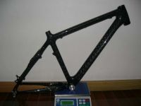 Hardtail MTB Carbon Frame