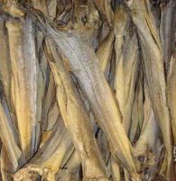 Dried Stock Fish