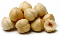 Raw Hazelnuts Kernels 