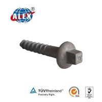 China Supplier Provide Plain Oiled 45# Steel Railroad Screw Spike