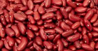 Kidney Beans