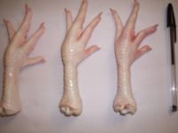 Grade A Processed Frozen Chicken Feet/Paws