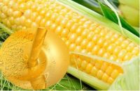 Buy Cheap Halal Corn Oil  for MID-EAST MARKETS