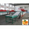 orange cleaning and waxing machine