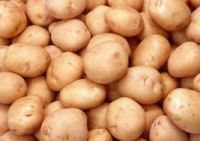 Fresh Irish Potatoes For Sale & Export