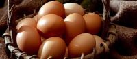 Farm Fresh Chicken Brown & White Table Eggs