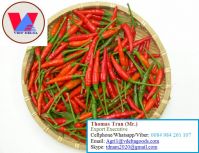 Natural Fresh Red Chili/Pepper at high quality