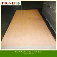 pine/bintangor/okoume/birch/ash/oak  plywood 