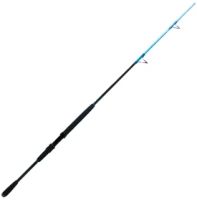 Wright & McGill Blair Wiggins Flats Blue Big Game Spinning Rod 