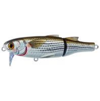 LIVETARGET Mullet Saltwater Wakebait 