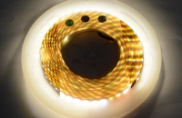 High light SMD2835 LED Strip Flexible Lights 120leds/m 19.2w/m DC12V white color, IP20 