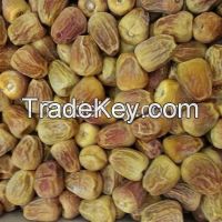 Sukkray sweet maknooz dates traders