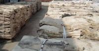 100% Dry Salted Donkey Hides / Wet Salted Donkey,Cow Hides Etc