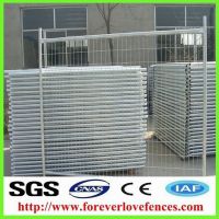 galvanized square wire mesh netting/galvanized welded wire mesh