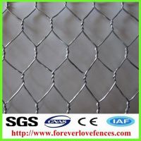 galvanized steel/pvc coated gabion wire mesh fence