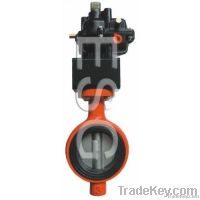 Butterfly valve